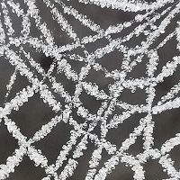 ludwig_soft_rime_on_spider_web_announcement Soft rime on spider web