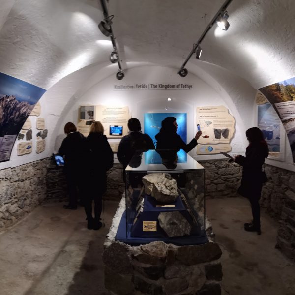 Images: Aleš Skalič: We visited an exhibition of the distant past of Solčavsko