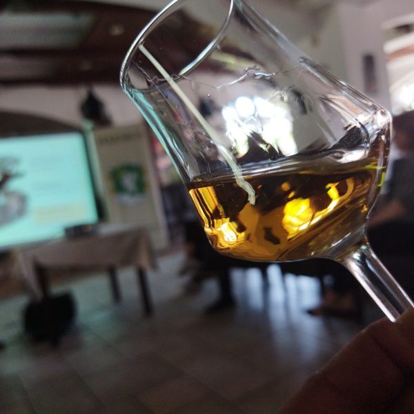 David Nedelkovski What training isn’t made better with wine?!