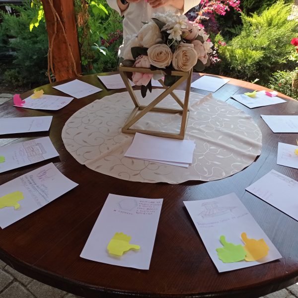 HAEMUS Voting around the table for the best idea in a ‘Meaning in a nutshell’ exercise