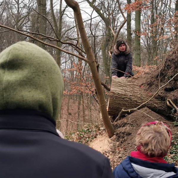Thorsten Ludwig: What happend to this tree?