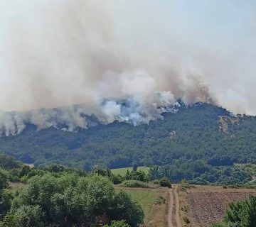 Catsadorakis_Dadia forest fire