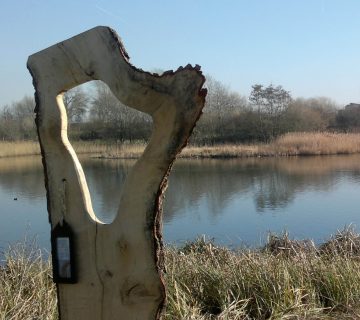 banks_window_viewer_LondonWetlandCentre_uk - Marie Banks