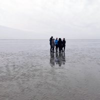 Interpretive walk at the Wadden Sea, Image: Thorsten Ludwig