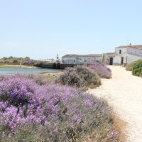 A sneak peak at the Algarve landscape, Image: Bettina Lehnes