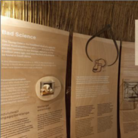 Humanity Exhibit taken from presentation slide, Image: Iziko South AfricaMuseum