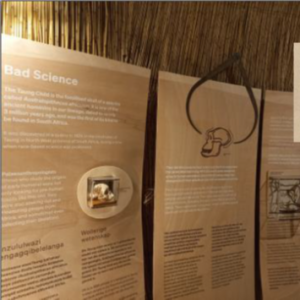 Humanity Exhibit_webinar slide Humanity Exhibit taken from presentation slide, Image: Iziko South AfricaMuseum