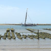 Join us to experience Portugal’s heritage, Image: Bettina Lehnes