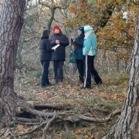 Interpreting the trees, Image: Thorsten Ludwig