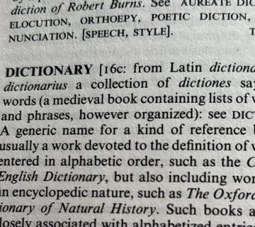 Sandy Colvine dictionary definition to misname an object 360x320