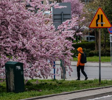 Kosina polanska people listening to the soundwalk 360x320