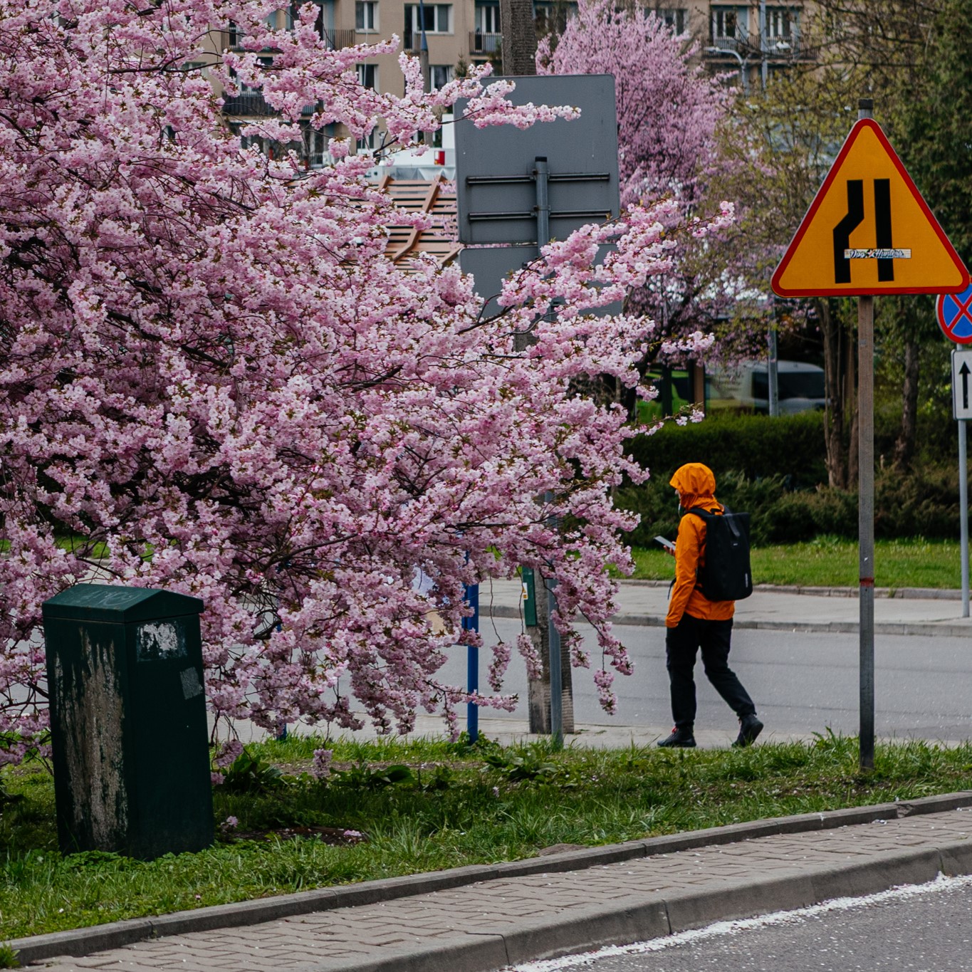 Kosina polanska people listening to the soundwalk