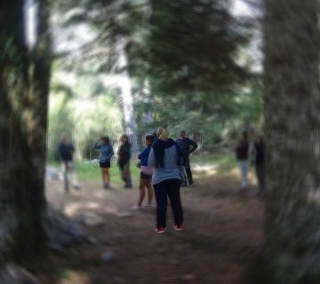 Pyriovolis forest bathing reflective circle 360x320