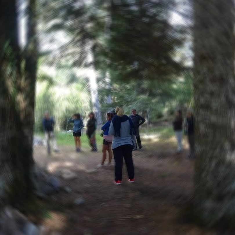 Pyriovolis forest bathing reflective circle