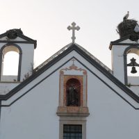 Lehnes_nesting stork on church roof in Faro Nesting stork on church roof in Faro, Portugal
(Image: Patrick/Bettina Lehnes)