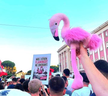 Orkida Ruci flamingo protest 360x320